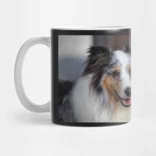 Sheltie Mug